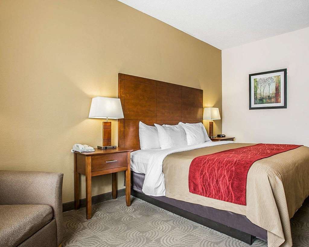 Comfort Inn & Suites Santee I-95 Rum bild